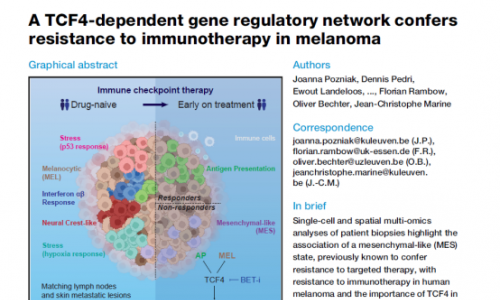 文献解读 |TCF4 依赖的基因调控网络使黑色素瘤对免疫治疗产生耐药性